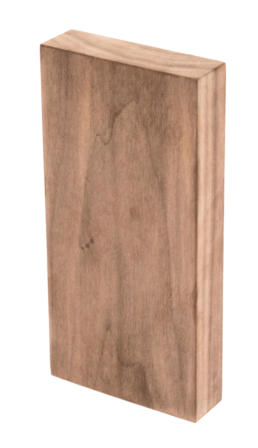 North American Walnut